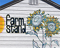 petaluma farm stand