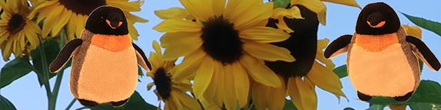 pengos in sunflowers