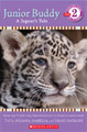 Junior Buddy: A Jaguar's Tale belize zoo kids