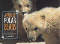 A Pair of Polar Bears san diego zoo childrens books
