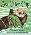 sea otter pup