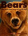 Bears - kids books Canadian Rockies