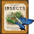 The Field Guide to Insects insects rain forest costa rica kids books monteverde