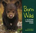 Born Wild in Glacier National Park wildlife kids
