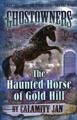 The Haunted Horse of Gold Hill kids mystery nevada