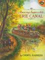 The Amazing Impossible Erie Canal - children's books New York state