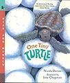 One Tiny Turtle kids books panama