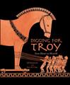 Digging for Troy kids archeology