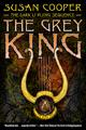 The Grey King legend king arthur wales kids