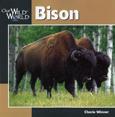 Bison kids books yellowstone