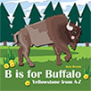 b is for buffalo