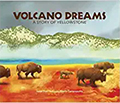 volcano dreams