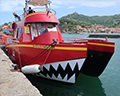 collioure scenic boat