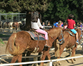 griffith park pony rides