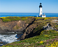 yaquina head