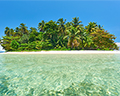 zapatilla island