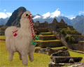 machu picchu lllama