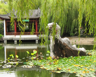 sydney chinese garden