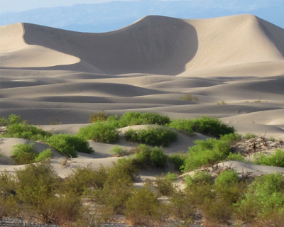 mesquite san dunes death valley