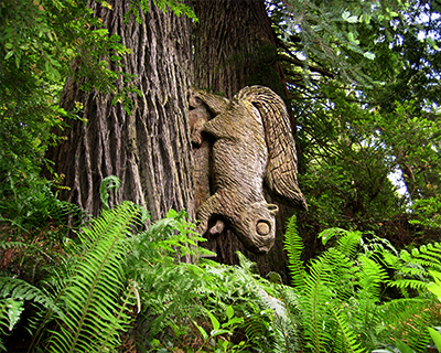 squirrel redwood carving