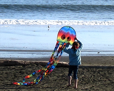 fly kites drakes beach point reyes