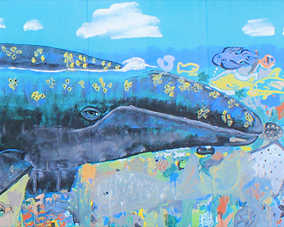 gray whale mural birch aquarium