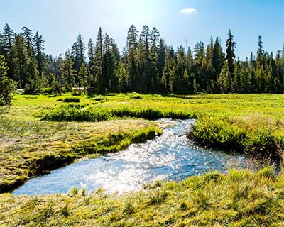 mount lassen national park alpine meadow