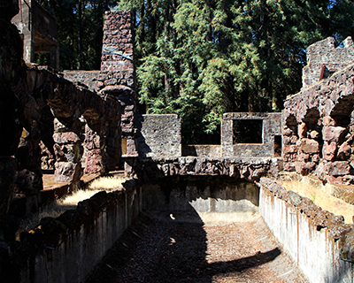 wolf house ruins