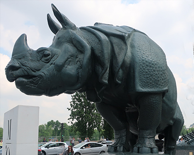 paris musee dorsay statue rhinoceros