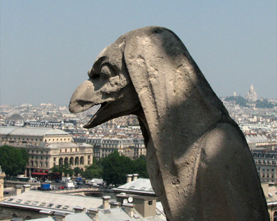 notre dame gargoyles shrouded bird