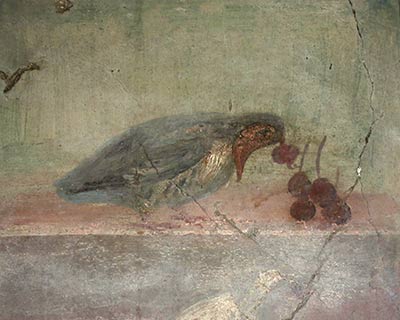painting bird eating cherries house of large portal herculaneum