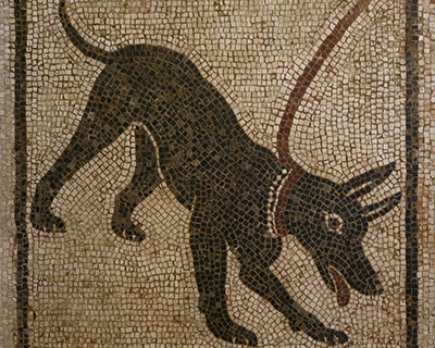 cave canem dog mosaic pompeii naples archeological museum