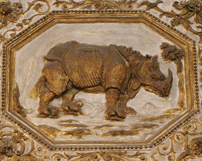 palazzo vecchio hall of the five hundred rhinoceros medici emblem