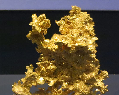 american museum natural history california gold