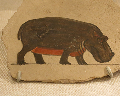 metropolitan museum of art ancient egyptian hippo sketch