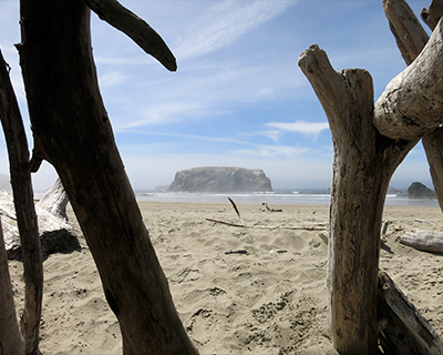 driftwood fort on beach
