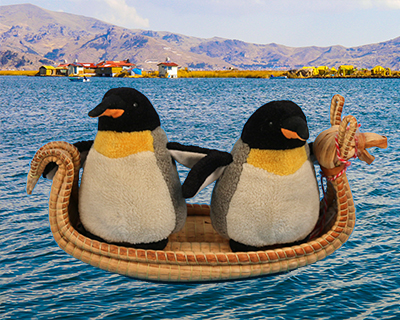 lake titicaca pengos miniature reed boat