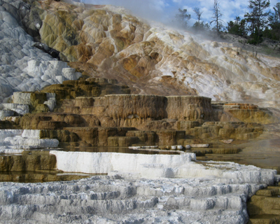 mammoth hot springs