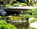 japanese friendship garden