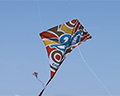 crissy field kites