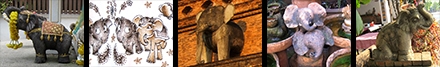 chiang mai elephants photos
