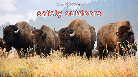 tips safety outdoors